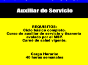 Auxiliar Servicio