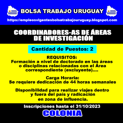 COORDINADORES-AS DE ÁREAS DE INVESTIGACIÓN