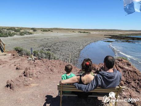 8 excursiones imperdibles en Puerto Madryn