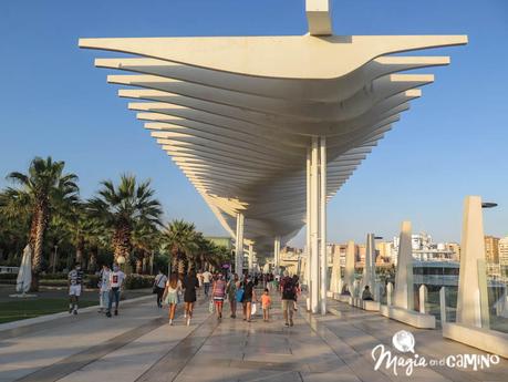 10 imperdibles para hacer y ver en la ciudad de Málaga