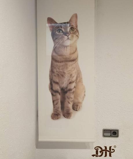 - 🔴 Estores Digital.