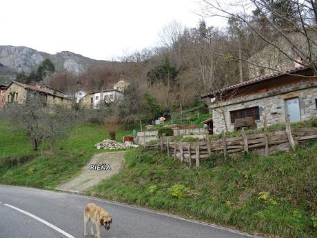 Alles-Lledón-Juyetón-Ilera-Jorá