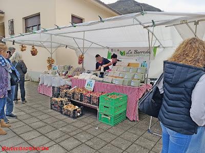 Certamen del queso Gamoneu
