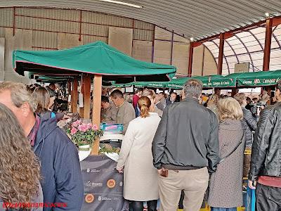 Certamen del queso Gamoneu