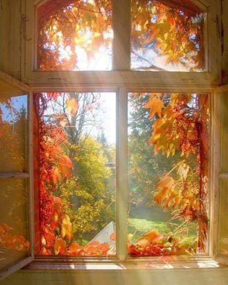 - Luz 🔅 de Otoño.