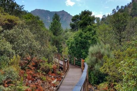 Rutas de senderismo fáciles en Salamanca