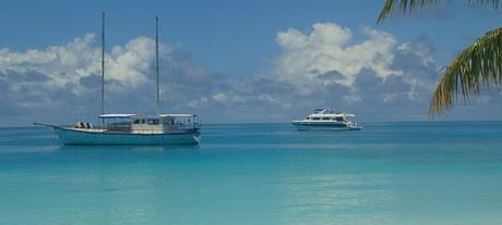 Buceo en las islas Maldivas – Explorando las profundidades Buceo en las islas Maldivas – Explorando las profundidades