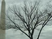 sombra monroe.: alianza para progreso