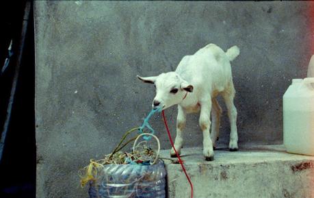 Samsara (España, 2023)