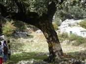 Rutas senderismo Cordoba