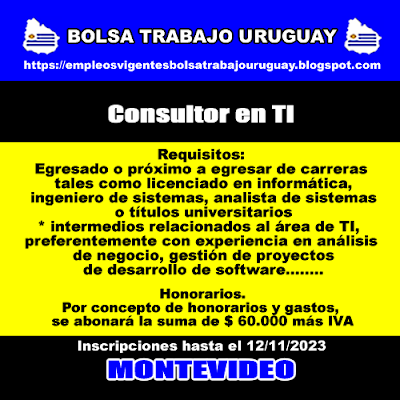 Consultor en TI