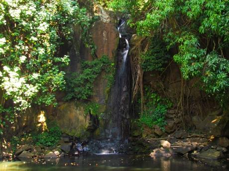 McBryde Waterfall. McBryde Garden. Kauai