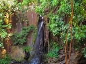 McBryde Waterfall. Garden. Kauai