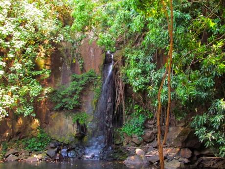 McBryde Waterfall. McBryde Garden. Kauai