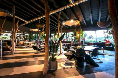 House of Wow: comer bien             en un espacio único en Ibiza