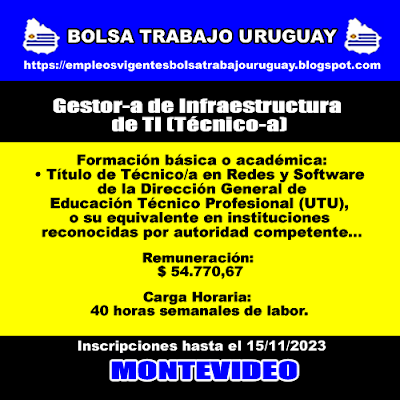 Gestor-a de Infraestructura de TI (Técnico-a)