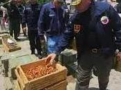 Columna Juan Martorano Edición Operación Gran Cacique Guaicaipuro intervenido cárceles estaban bajo nuevo régimen penitenciario.