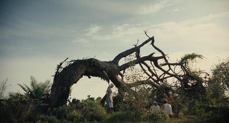 Imagen permanente, la (España, Francia; 2023)