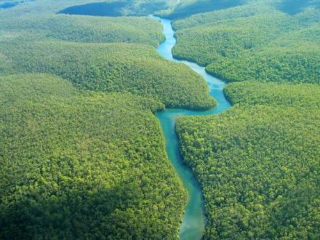 Amazonas un lugar lleno de vida