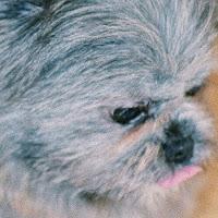 Divorce estrenan Eat My Words como nuevo single