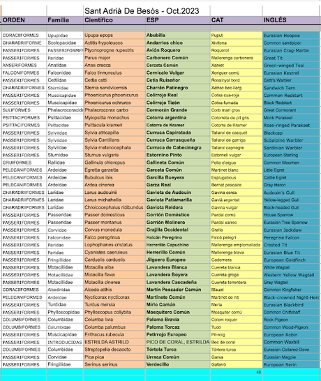 #ocellsdesantadria octubre-2023