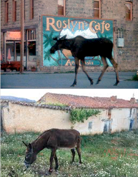 Arquitecto en el pueblo Arquitecto en el pueblo