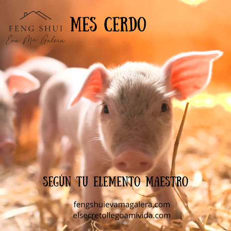 Tu Elemento Maestro en el mes Cerdo de Agua Yin