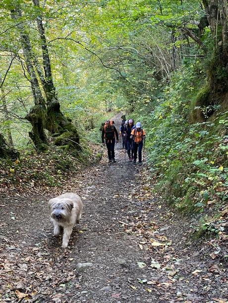 Cabeza l Arcu desde Caleao