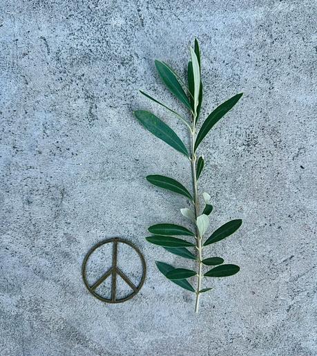 No hay que olvidar. No hay que olvidar.