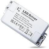 REYLAX Transformador 220V a 24V, Driver LED 30W, Transformador LED 24V 1250mA, Fuente de Alimentacion de Voltaje Constante, Controlador de Bajo Voltaje para Tiras de Luces LED y Lámpara LED