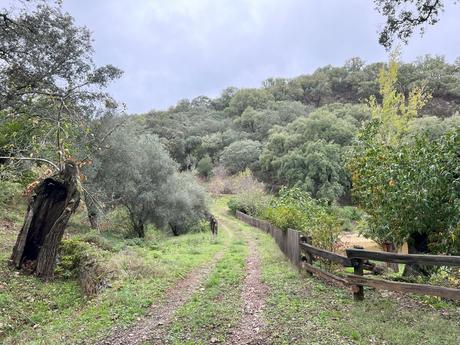 Qué hacer en Aracena: 8 planes imperdibles