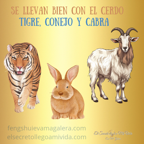 Relaciones mes del Cerdo 🐷