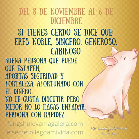 Relaciones mes del Cerdo 🐷