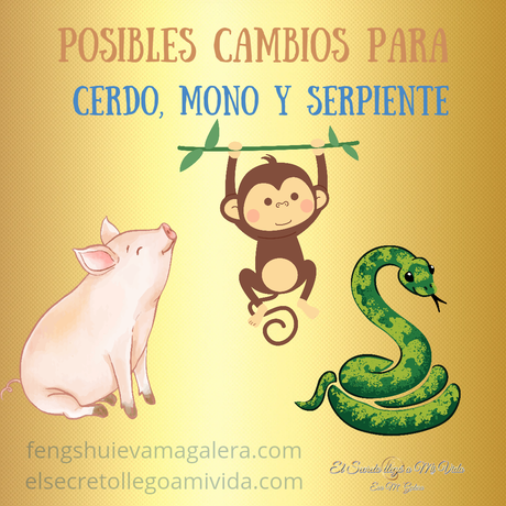 Relaciones mes del Cerdo 🐷