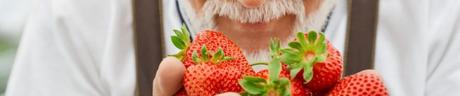 Comer fresas puede reducir el riesgo de demencia en personas de mediana edad Comer fresas puede reducir el riesgo de demencia en personas de mediana edad
