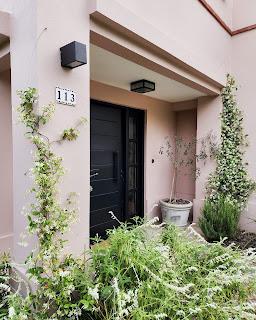 Jazmín de Leche: aroma de Primavera Jazmín de Leche: aroma de Primavera