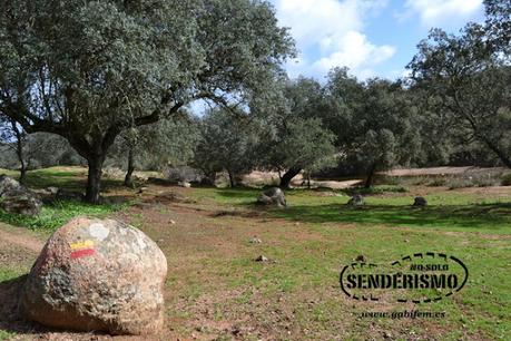 Rota das Antas de Rabuje