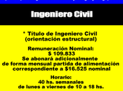 Ingeniero Civil