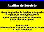 Auxiliar Servicio