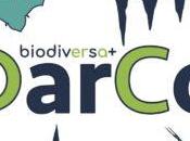 Colaboramos Proyecto Biodiversa+ DarCo sobre conservación subterránea