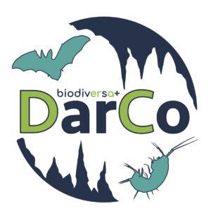 Colaboramos con el Proyecto Biodiversa+ DarCo sobre conservación subterránea