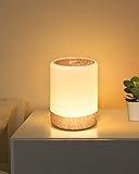 FOMYHEARD Lámpara de mesita de noche táctil regulable, 256 RGB cambio de color lámpara de mesa LED cálida, 2200mAh USB recargable, función de memoria luz nocturna para niños, para dormitorio salón