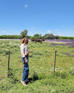 Un día en Capilla del Señor Un día en Capilla del Señor