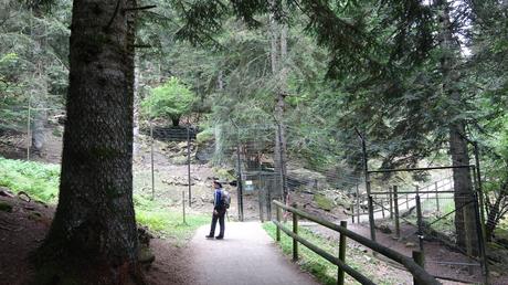 Parque de fauna Aran Park