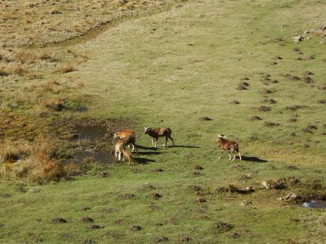 Ruta al Lago Passet desde Porté-Puymorens | Francia Ruta al Lago Passet desde Porté-Puymorens | Francia
