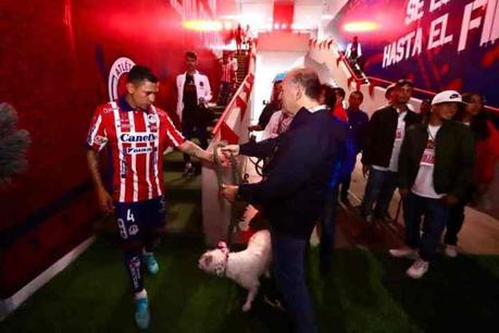 Atlético de San Luis y Alcaldía promueve la adopción de canes en partido contra Santos Laguna