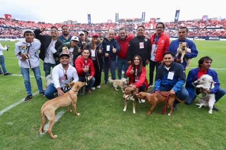 Atlético de San Luis y Alcaldía promueve la adopción de canes en partido contra Santos Laguna