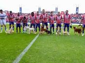 Atlético Luis Alcaldía promueve adopción canes partido contra Santos Laguna