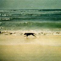 Texxcoco estrenan Luces en el mar