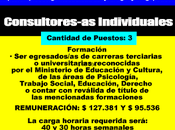Consultores-as Individuales